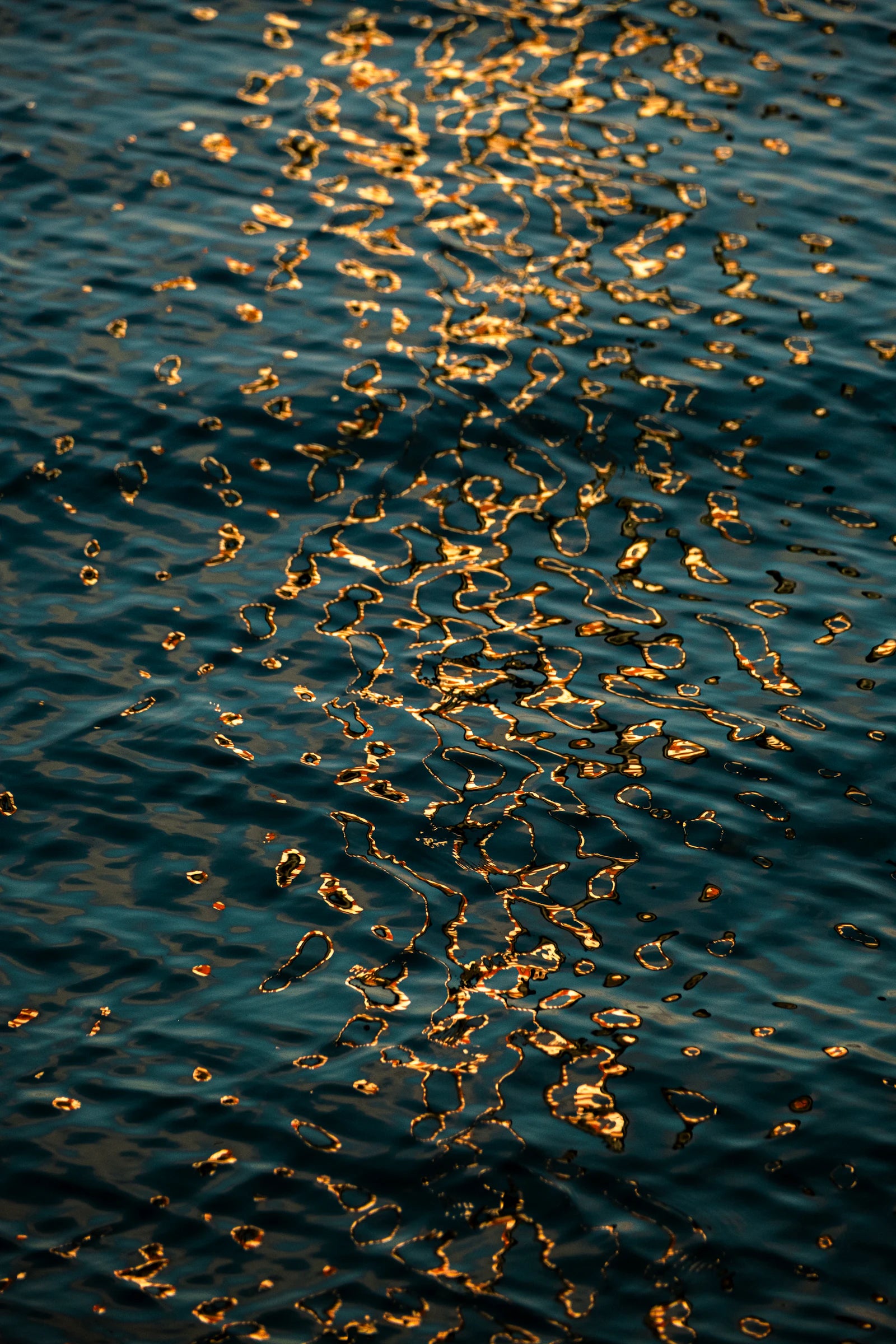 Golden light moving across rippling water