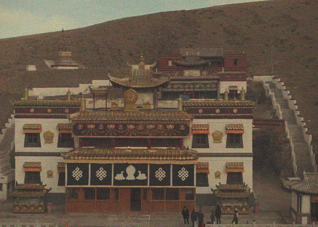 A place we return to.